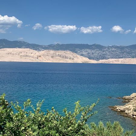 Apartman Matej With Pool Povljana Dış mekan fotoğraf