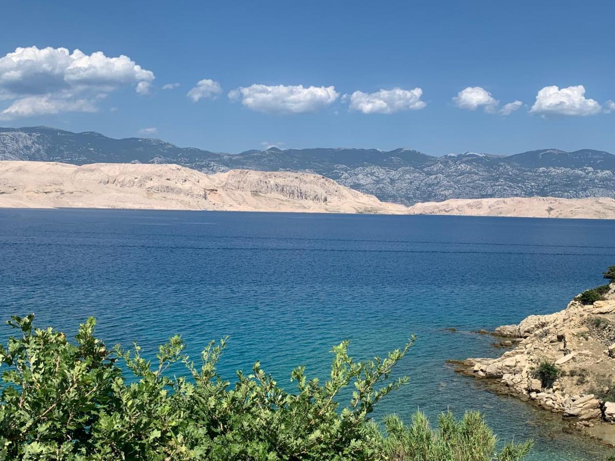 Apartman Matej With Pool Povljana Dış mekan fotoğraf